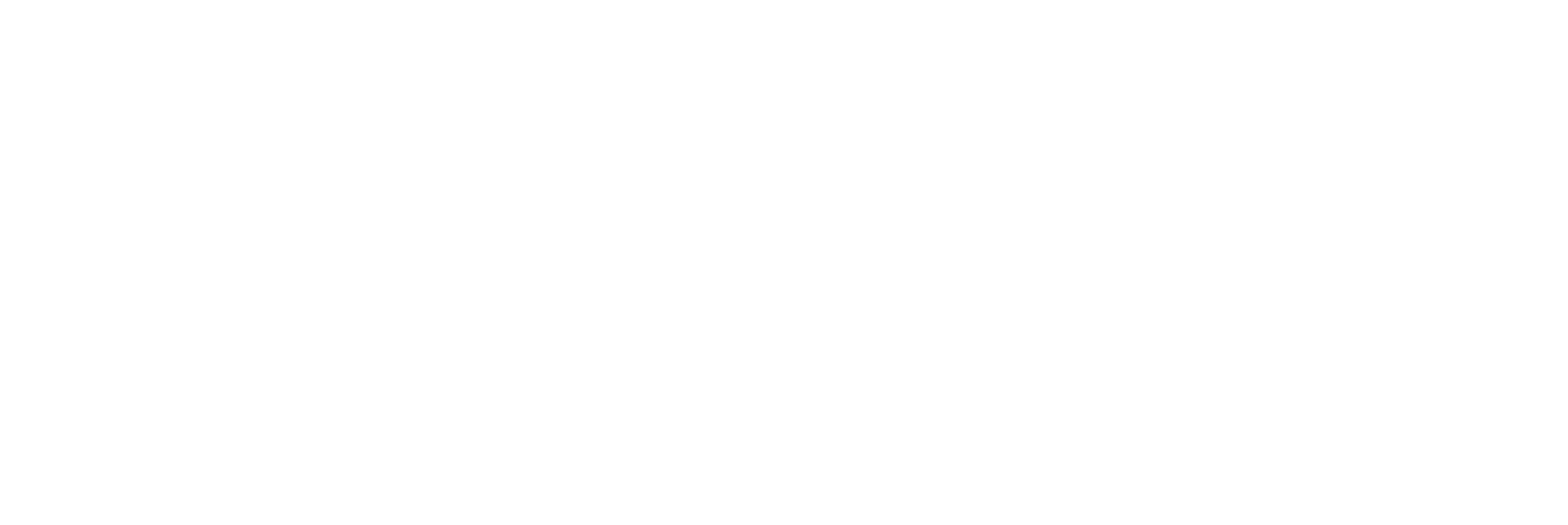 Skyfri Logo